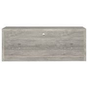 Burke 2-door Engineered Wood TV Stand Grey Driftwood