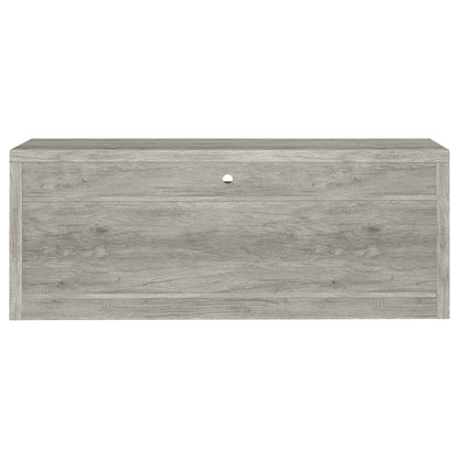 Burke 2-door Engineered Wood TV Stand Grey Driftwood