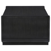 Leandro 2-drawer Wood Cocktail Coffee Table Burnished Black