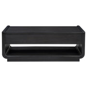 Leandro 2-drawer Wood Cocktail Coffee Table Burnished Black