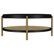 Arini Round Coffee Table With Storage Shelf