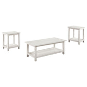 Payne Coffee and End Table Set Distressed