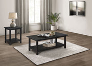 Payne Coffee and End Table Set Distressed