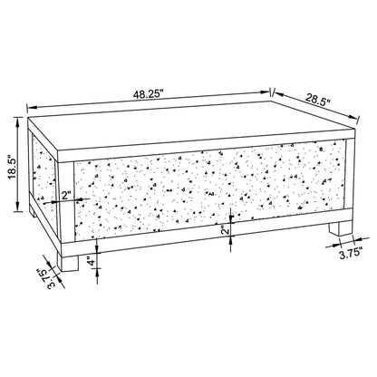 Gillian Rectangular Mirrored Acrylic Coffee Table Silver