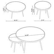 Kaelyn 2-piece Round Mirror Top Nesting Coffee Table Gold