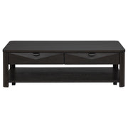 Marcelo 2-piece Coffee Table Set with Storage Coffee