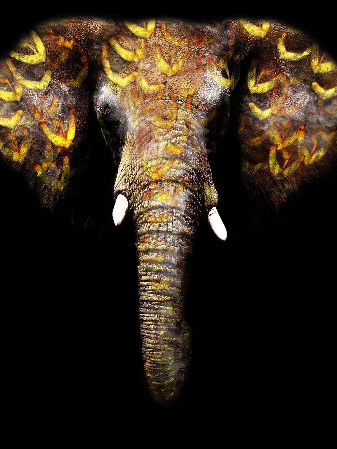 ''Gold Tribal Elephant'' Tempered Glass