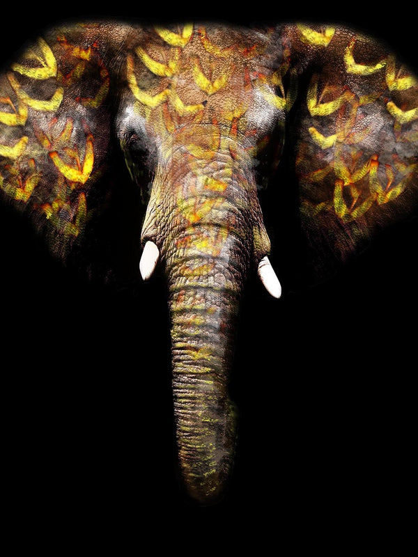 ''Gold Tribal Elephant'' Tempered Glass
