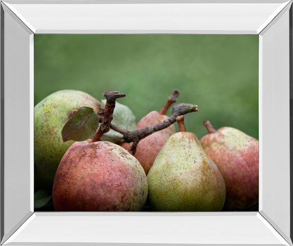Mirrored Frame Comice Pear II By Rachel Perry