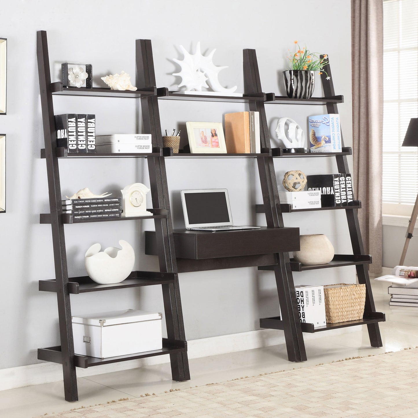 Colella Ladder Desk and Bookcase Set Cappuccino