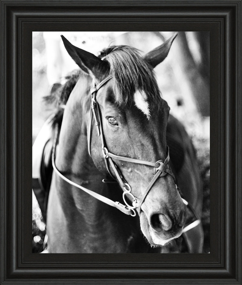Derby I By Susan Bryant