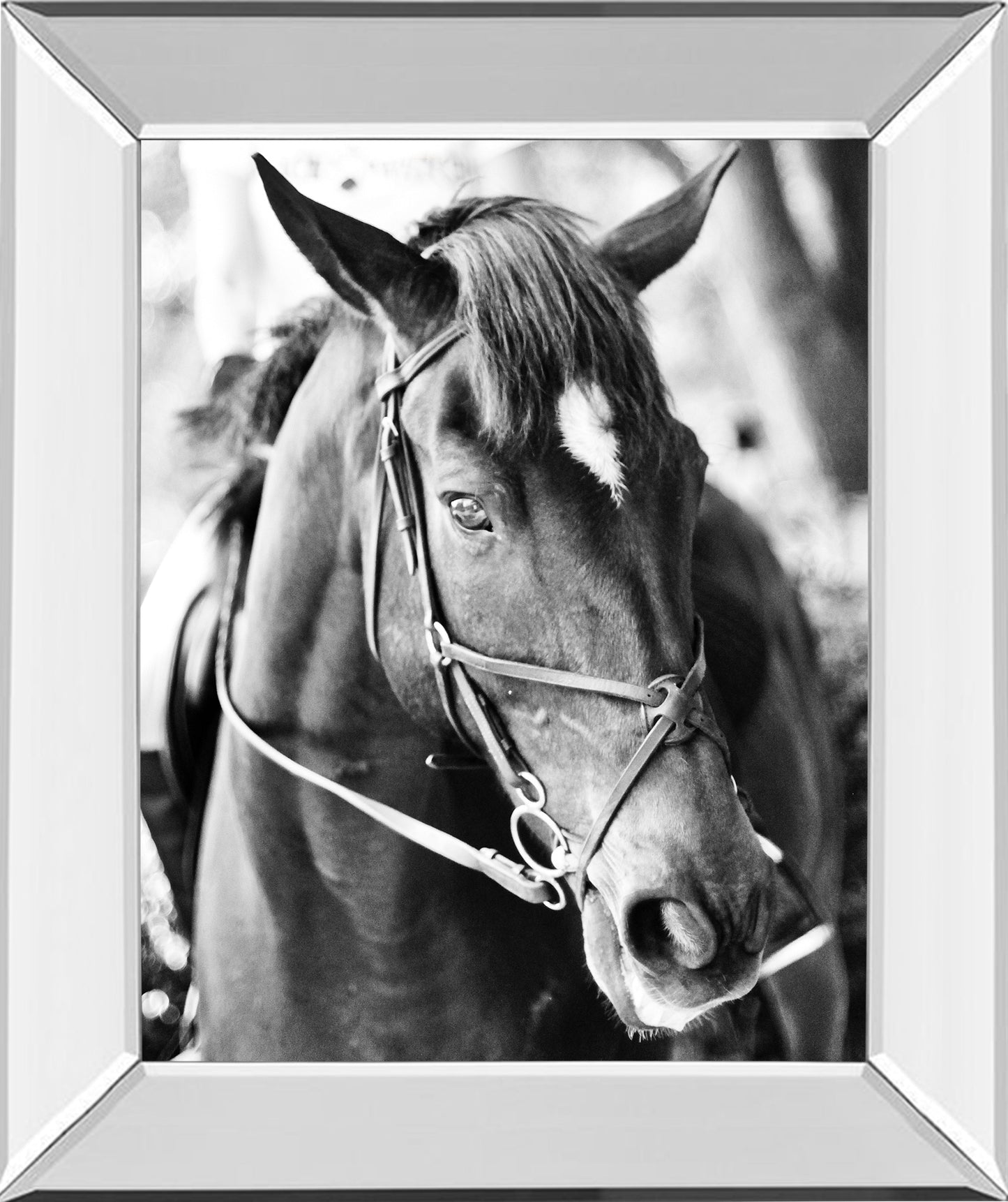 Mirrored Frame Derby I By Susan Bryant
