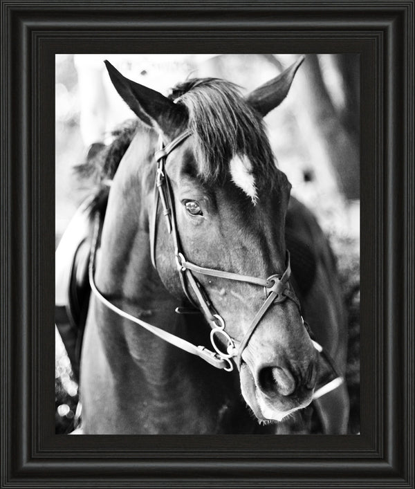 Derby I By Susan Bryant
