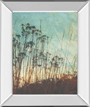 Mirrored Frame Wild Grass By Amy Melious