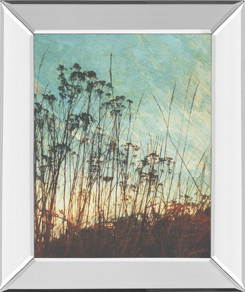 Mirrored Frame Wild Grass By Amy Melious