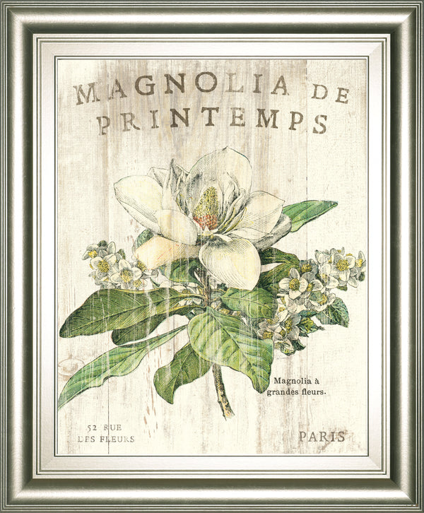 Magnolia De Printemps By Sue Schlabach