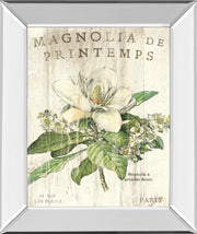 Mirrored Frame Magnolia De Printemps By Sue Schlabach