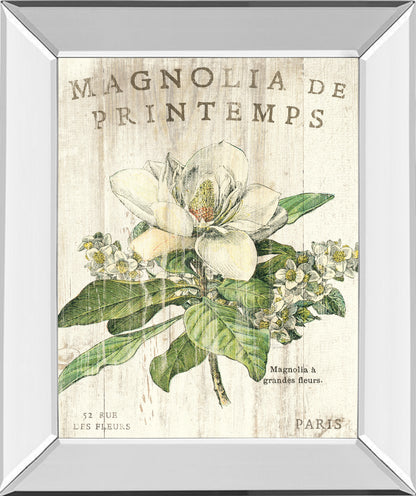 Mirrored Frame Magnolia De Printemps By Sue Schlabach