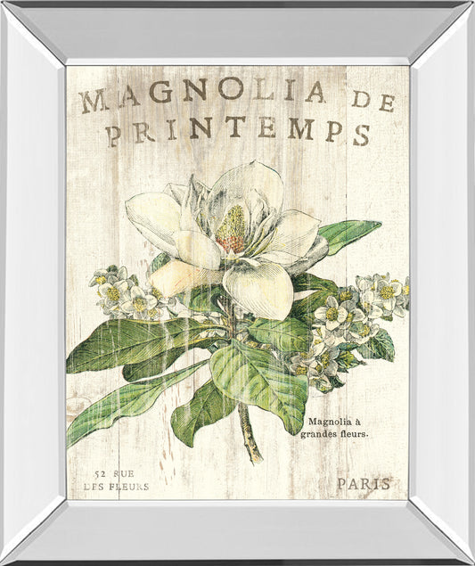 Mirrored Frame Magnolia De Printemps By Sue Schlabach