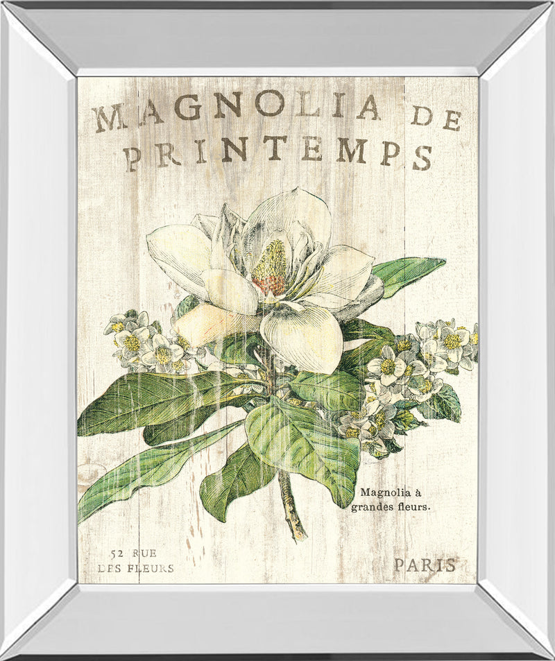 Mirrored Frame Magnolia De Printemps By Sue Schlabach