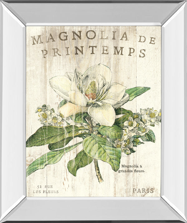 Mirrored Frame Magnolia De Printemps By Sue Schlabach