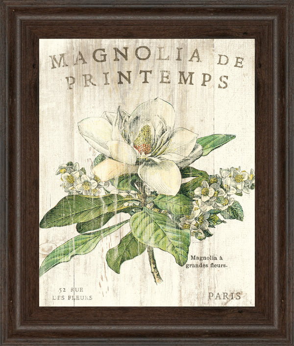 Magnolia De Printemps By Sue Schlabach