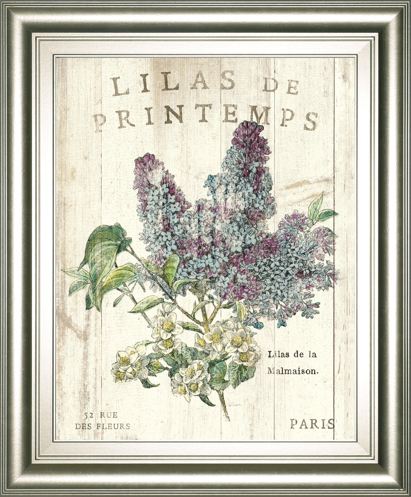 Lilas De Printemps By Sue Schlabach