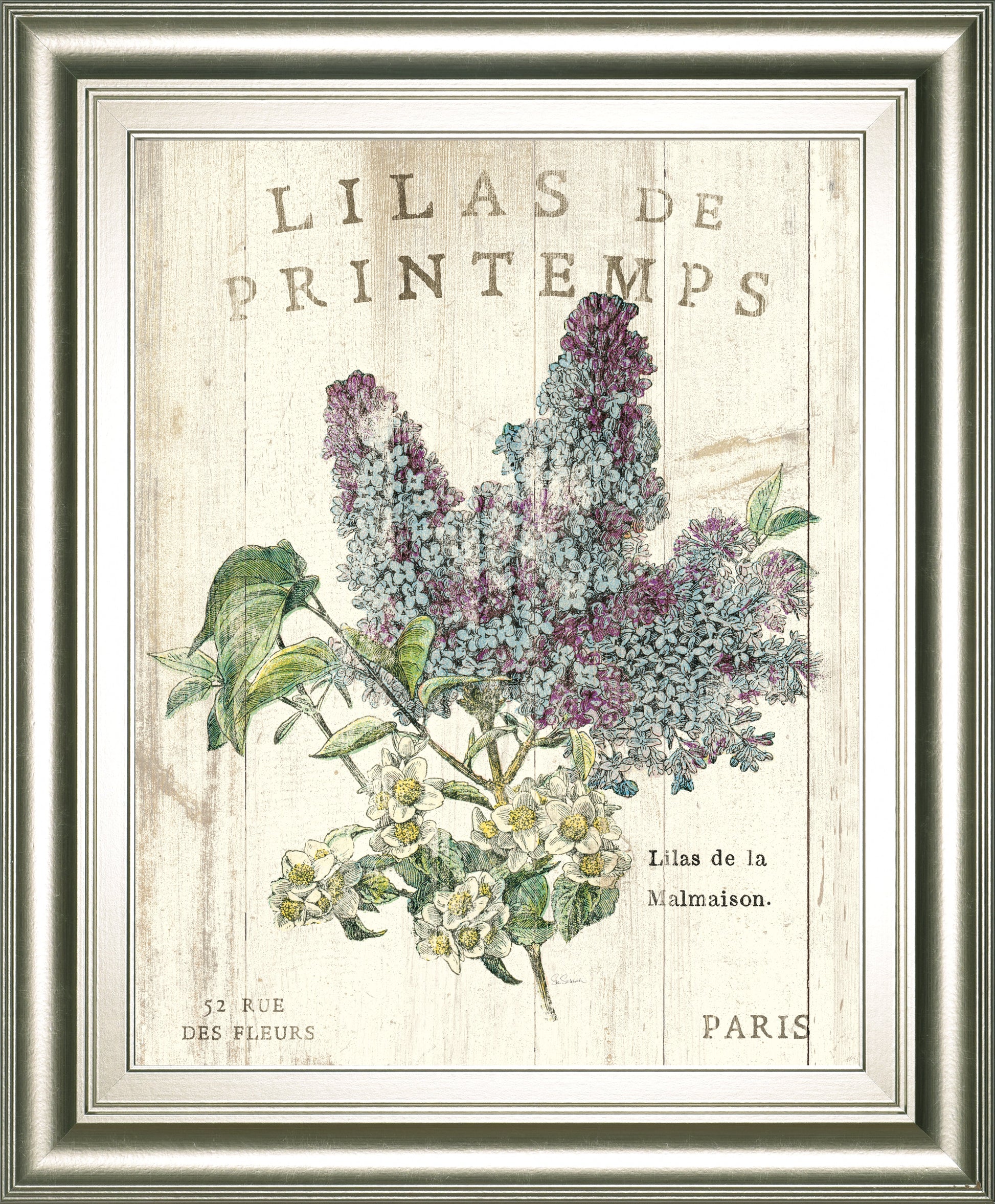 Lilas De Printemps By Sue Schlabach