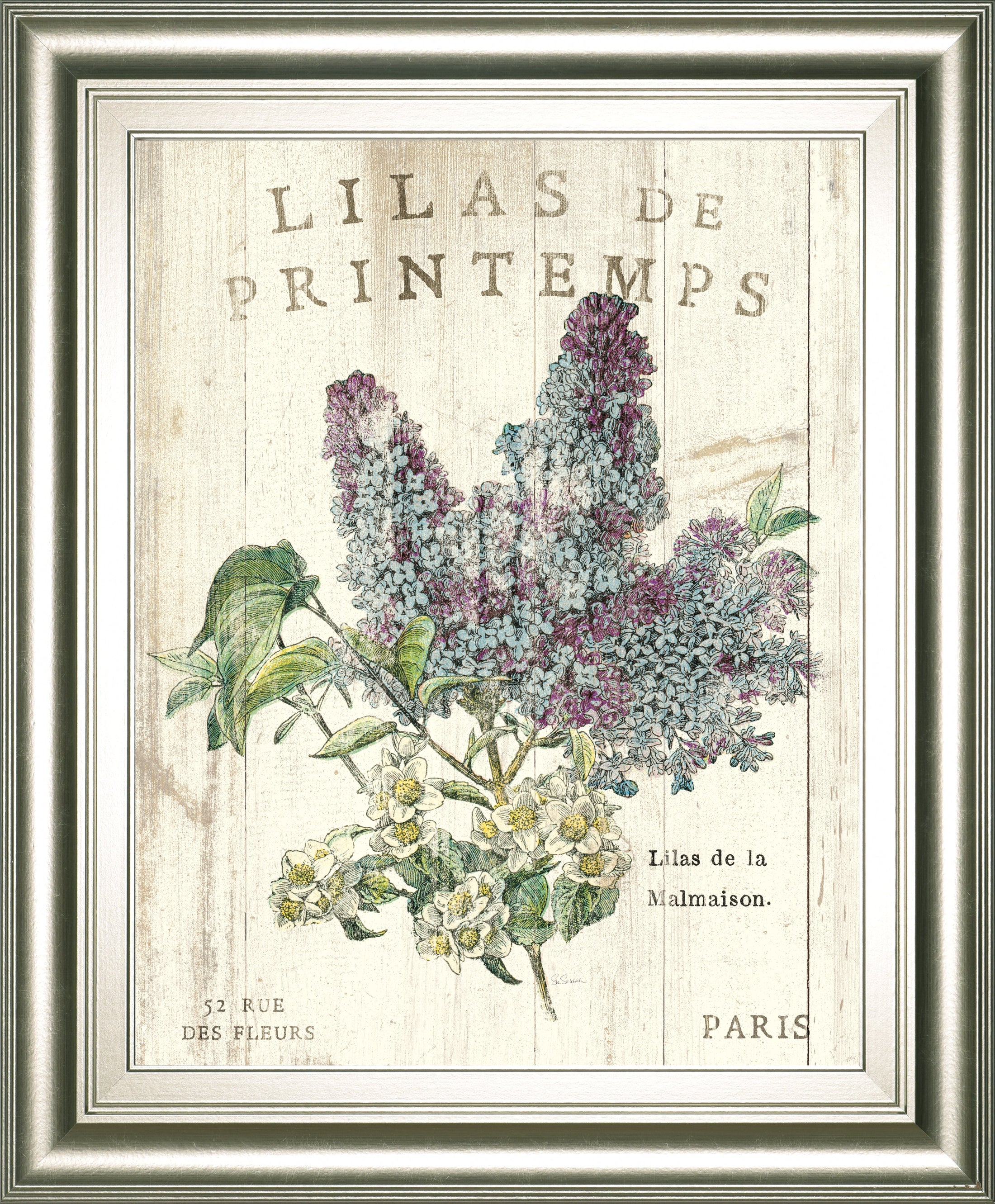 Lilas De Printemps By Sue Schlabach