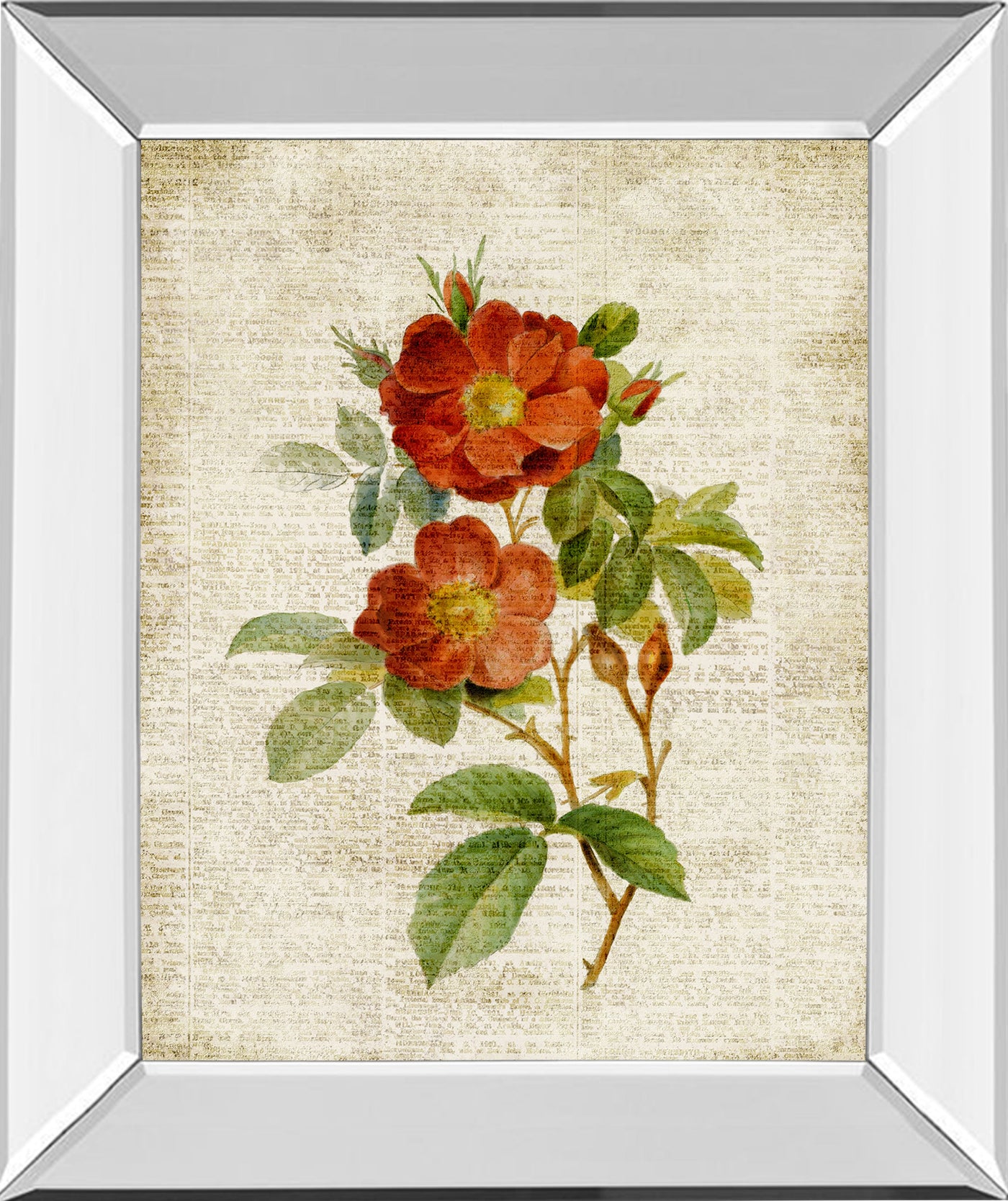 Mirrored Frame Roses On Newsprint II By Lanie Loreth