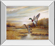 Mirrored Frame Mallards By Ruanne Manning