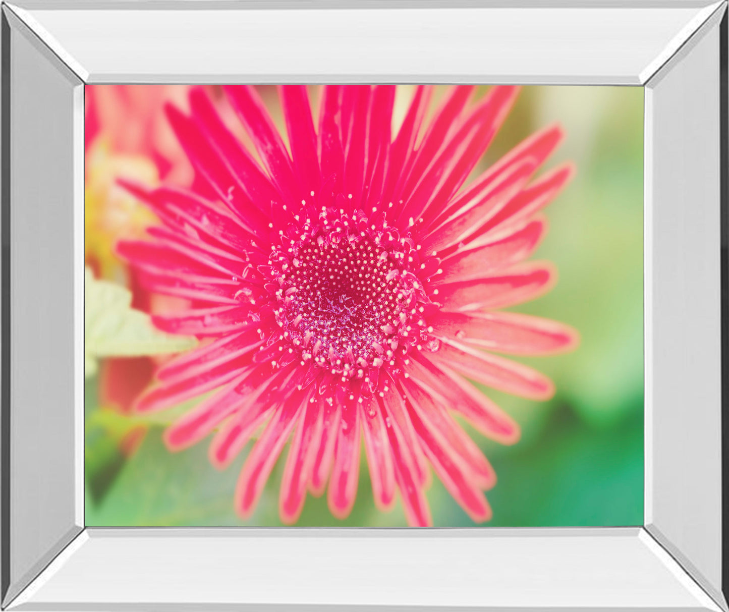 MIRRORED FRAME PINK GERBERA BY Susan bryant