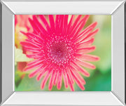 MIRRORED FRAME PINK GERBERA BY Susan bryant