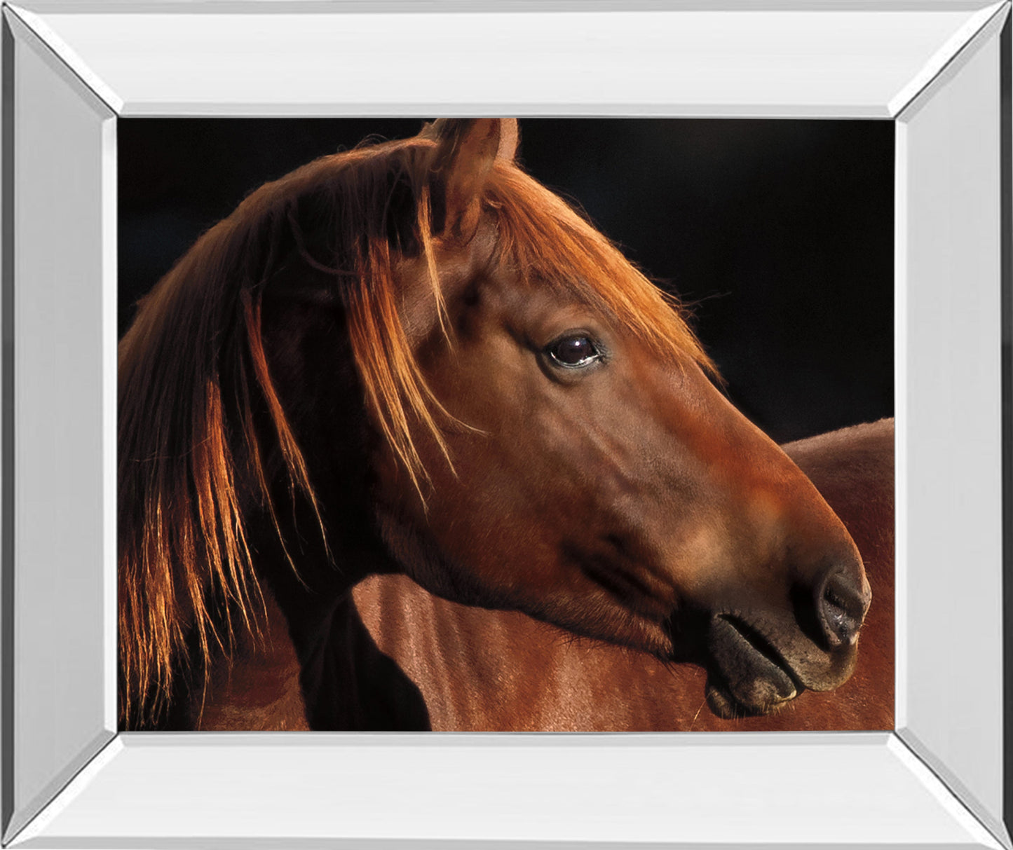 Mirrored Frame Pretty Girl By Caro