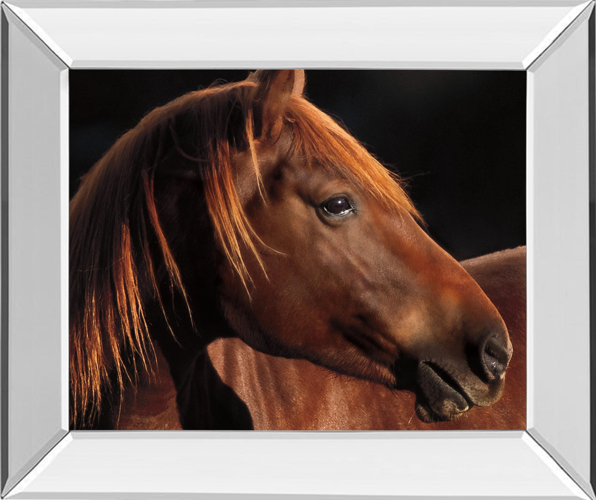 Mirrored Frame Pretty Girl By Caro