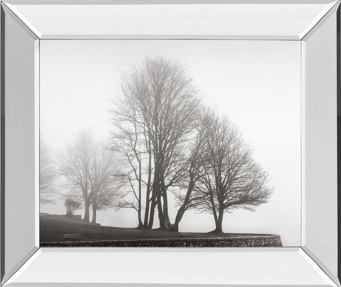 Mirrored Frame Fog And Trees At Dusk By Lsh