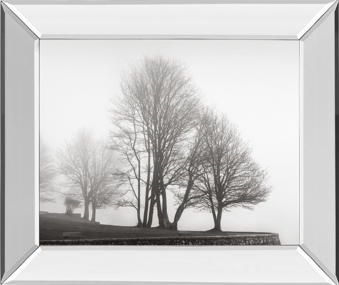 Mirrored Frame Fog And Trees At Dusk By Lsh