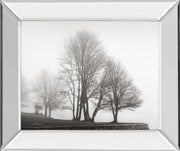 Mirrored Frame Fog And Trees At Dusk By Lsh