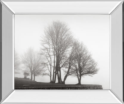 Mirrored Frame Fog And Trees At Dusk By Lsh