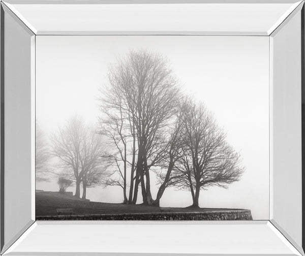 Mirrored Frame Fog And Trees At Dusk By Lsh