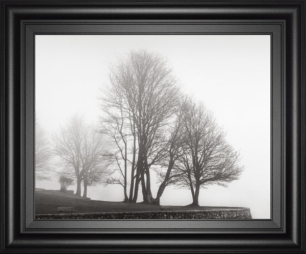 Fog And Trees At Dusk By Lsh