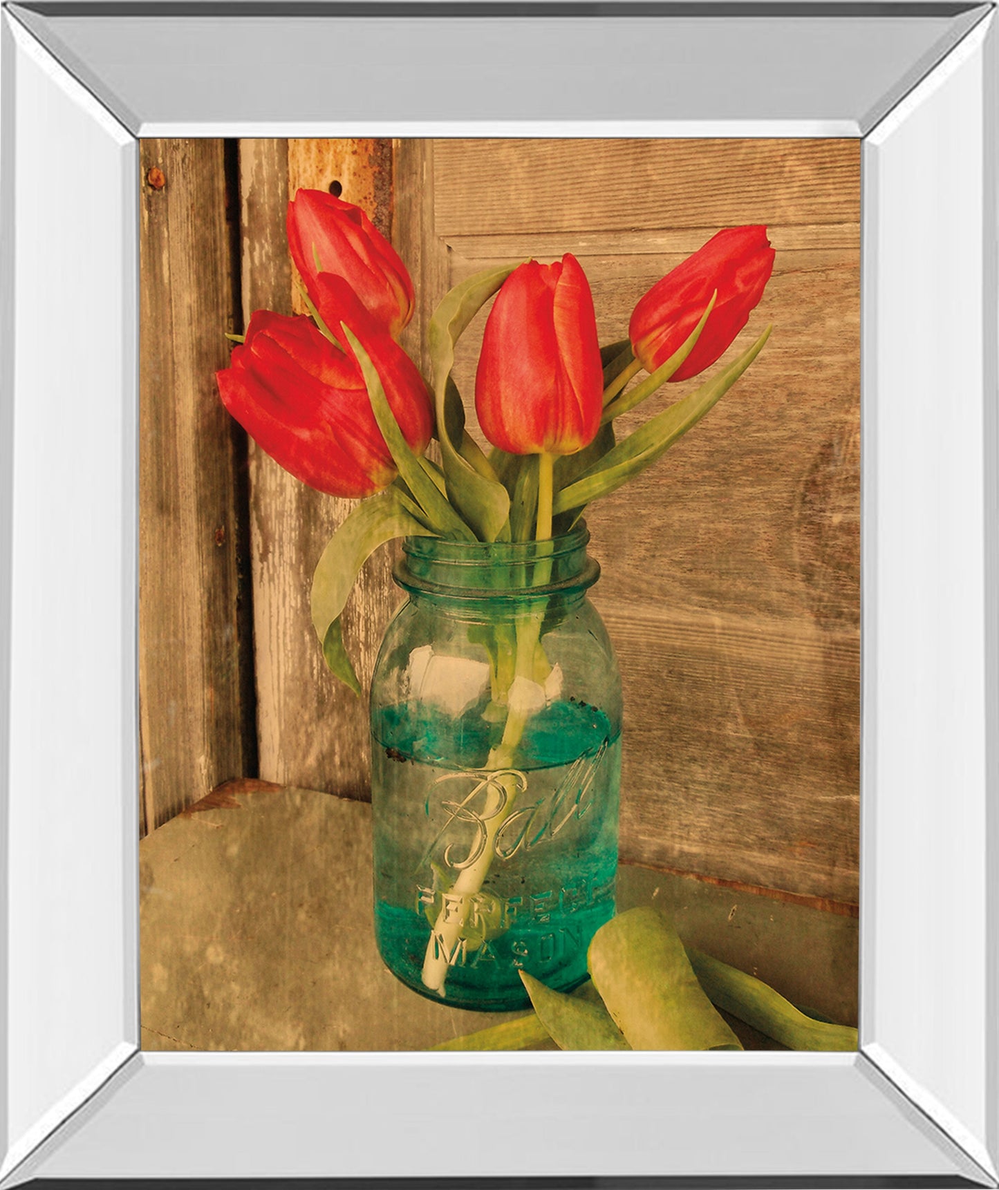 Mirrored Frame Country Tulips By Anthony Smith
