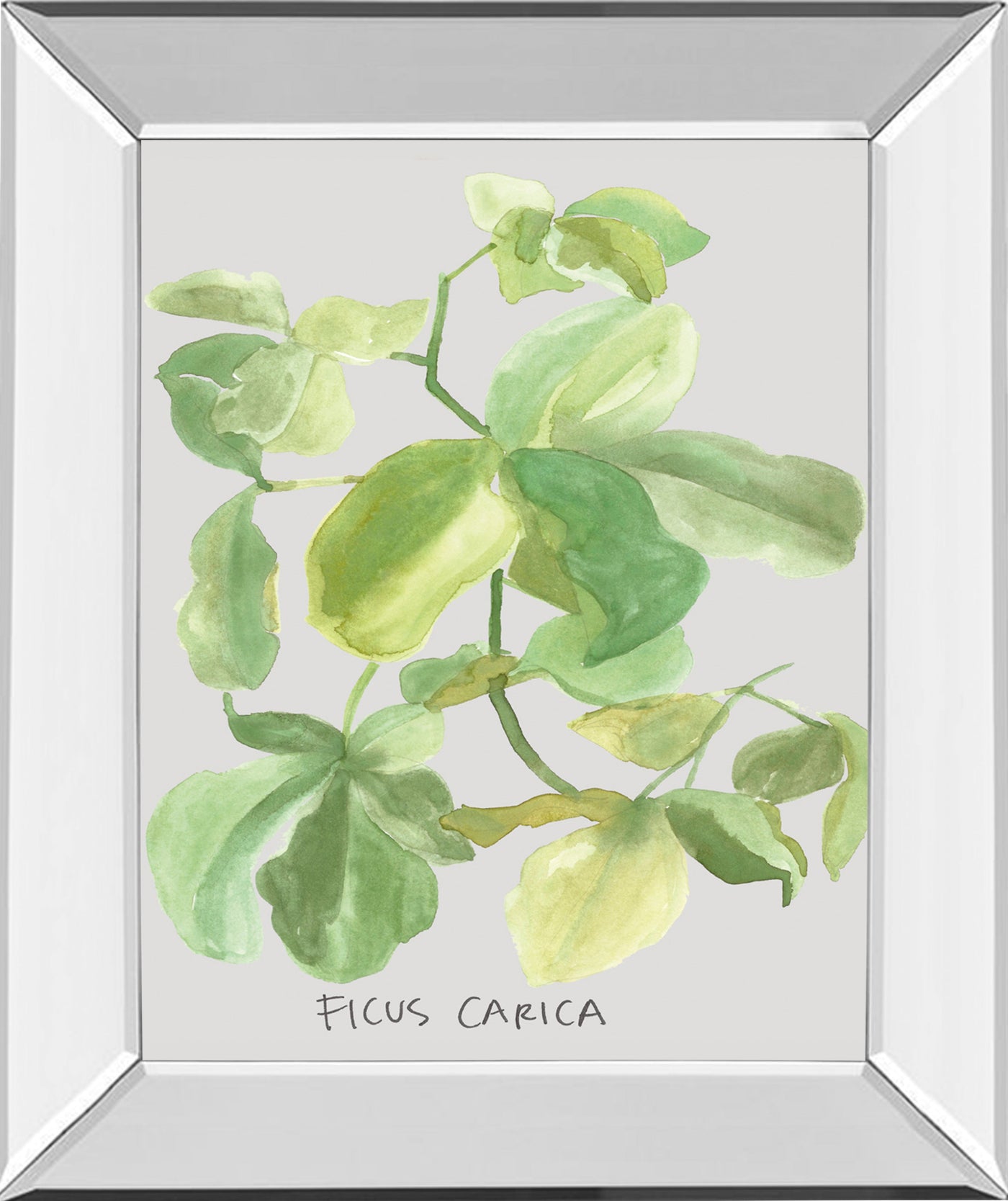 Mirrored Frame Ficus Carica By Katrien Soeffers