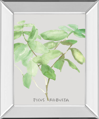 Mirrored Frame Ficus Robusta By Katrien Soeffers