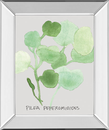 Mirrored Frame Pilea Peperomioides By Katrien Soeffers