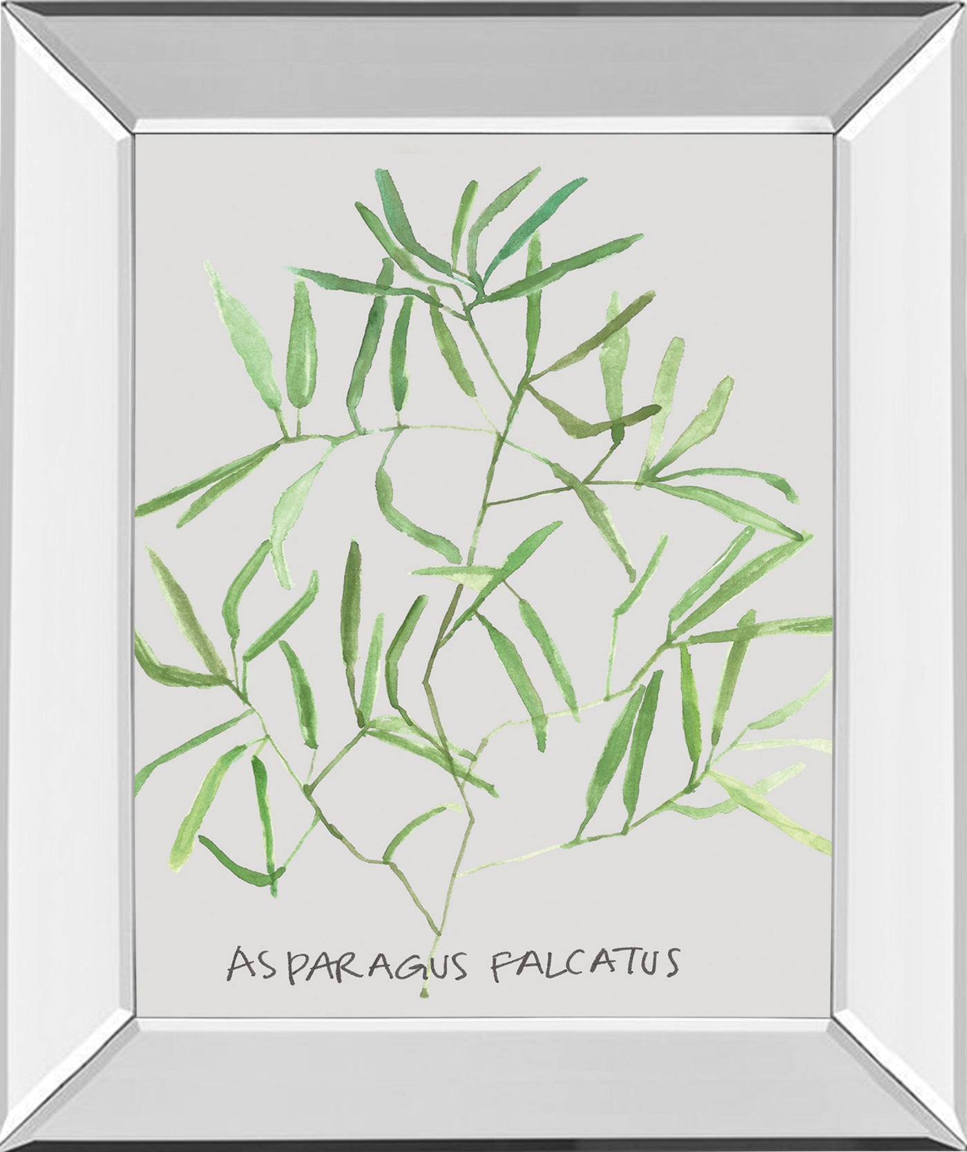 Mirrored Frame Asparogus Falcatus By Katrien Soeffers