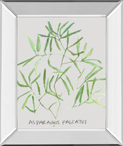Mirrored Frame Asparogus Falcatus By Katrien Soeffers