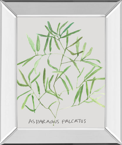 Mirrored Frame Asparogus Falcatus By Katrien Soeffers