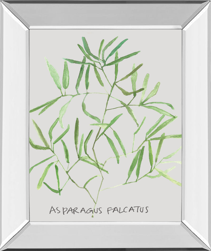 Mirrored Frame Asparogus Falcatus By Katrien Soeffers