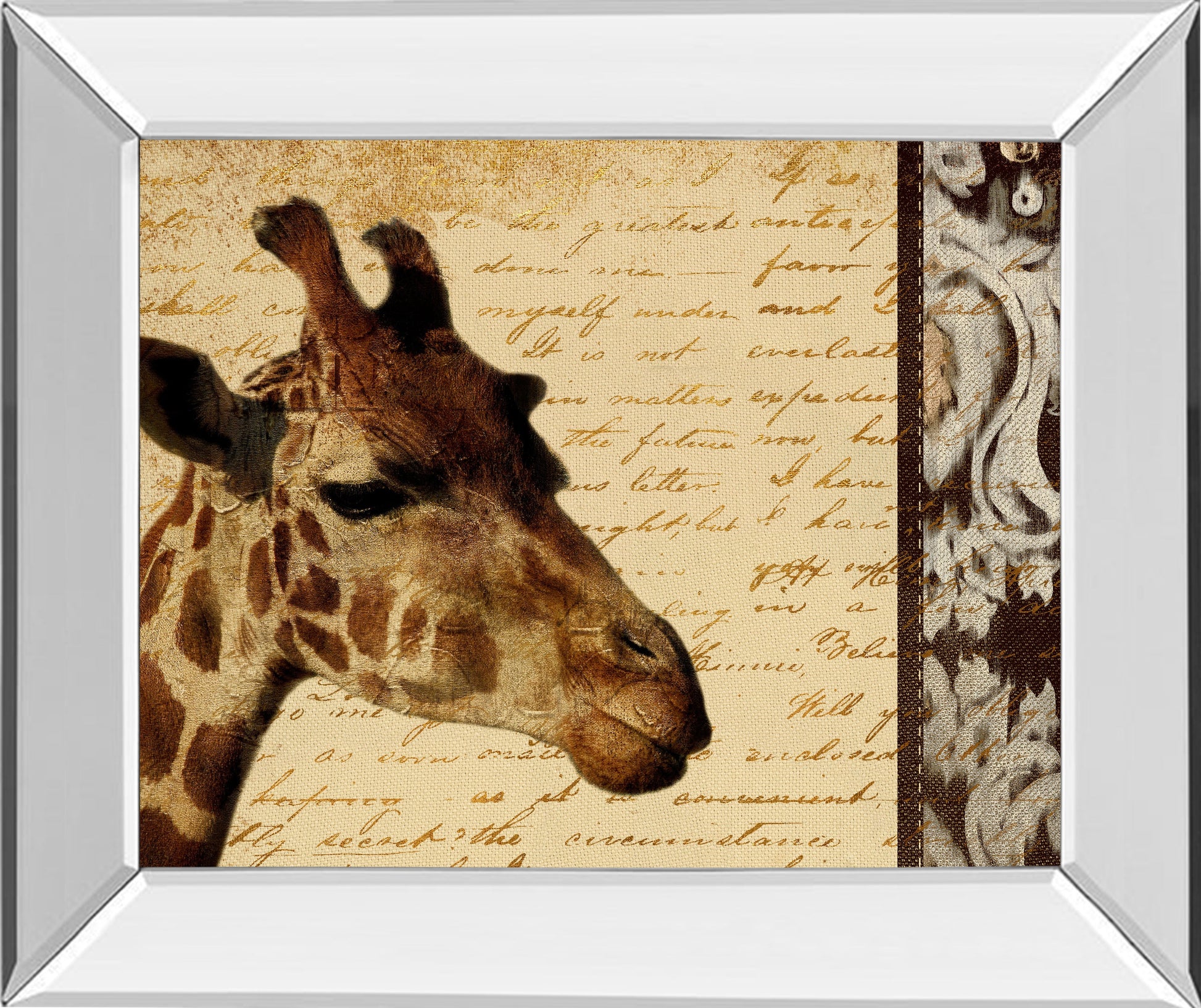Mirrored Frame Madagascar Safari I By Patricia Pinto